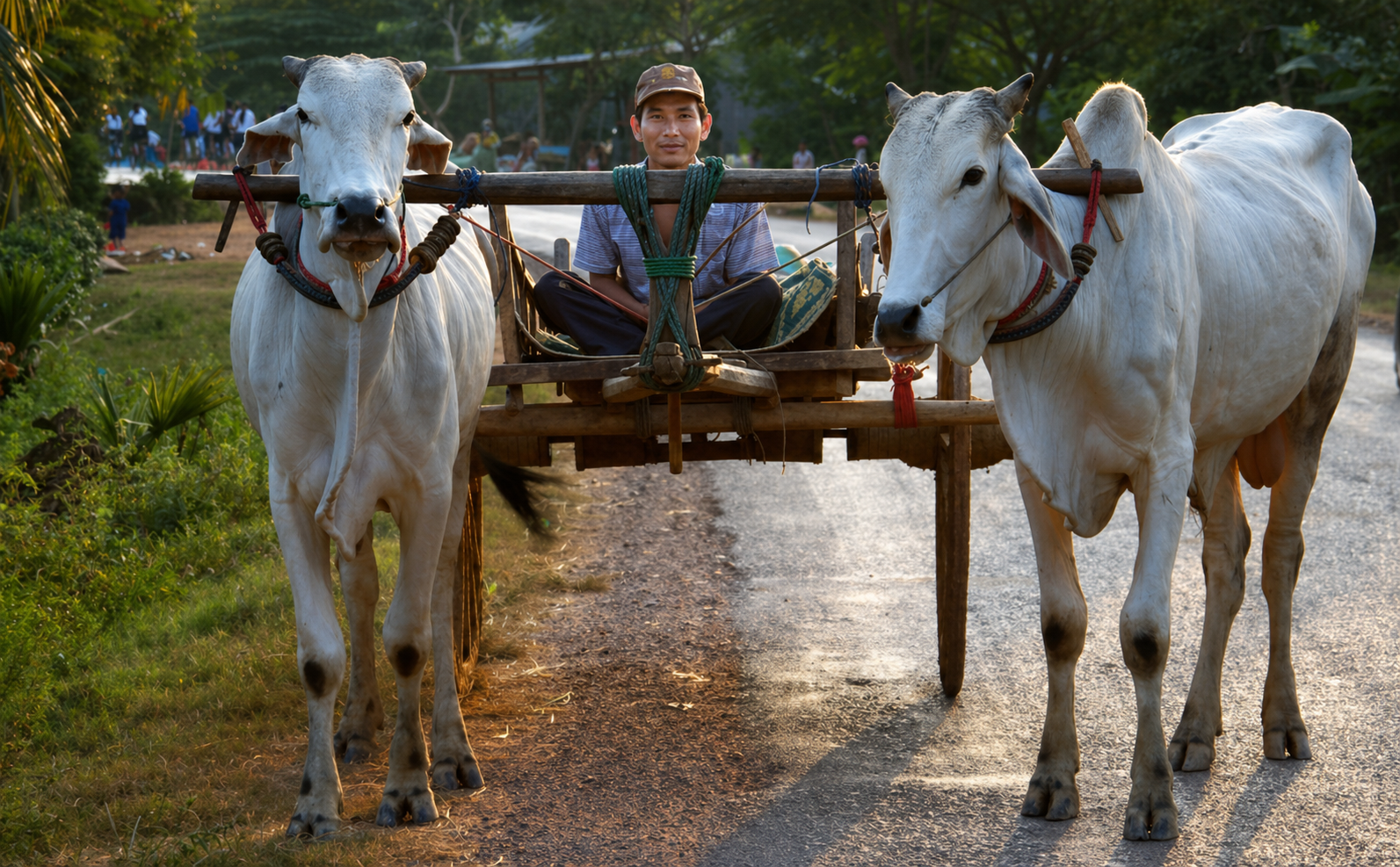 Traditional Ox-Cart Ride Experience