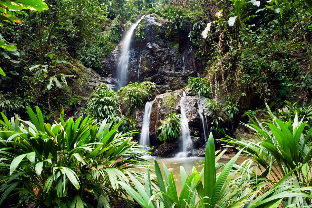 Adventure Tours