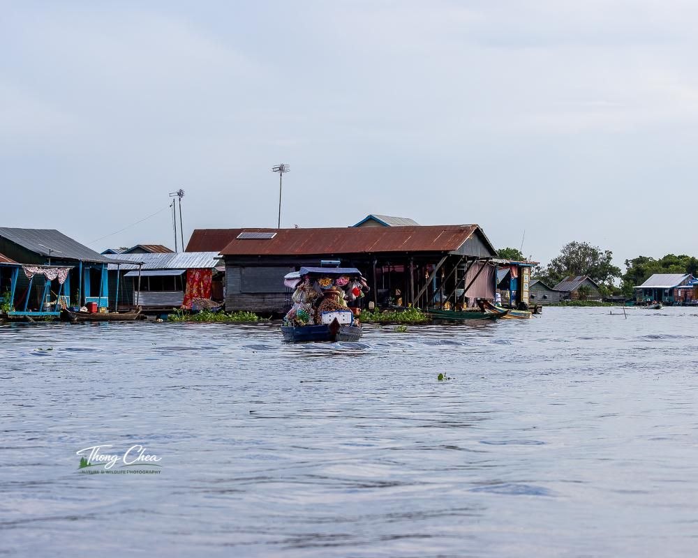 PHNOM PENH TO ANGKOR SIEM REAP
THROUGH MEKONG RIVER BIKE RIDEE