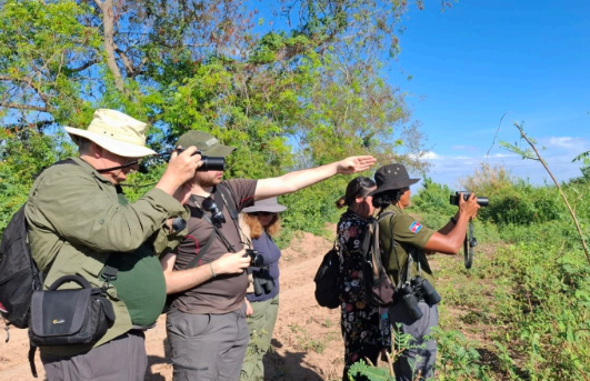 PHNOM PENH BIRDING EXPERIENCE
